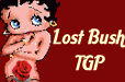 Lostbush