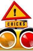 cock in the pussy